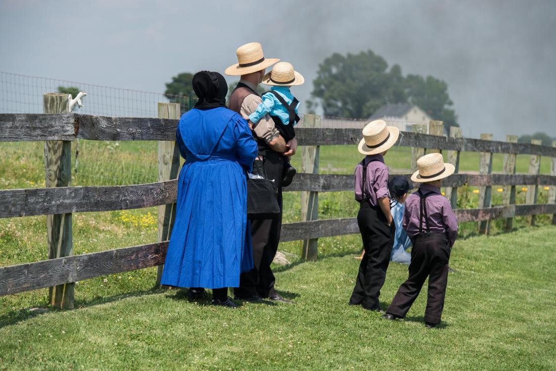 Amiši imajo skrivnost za daljše življenje