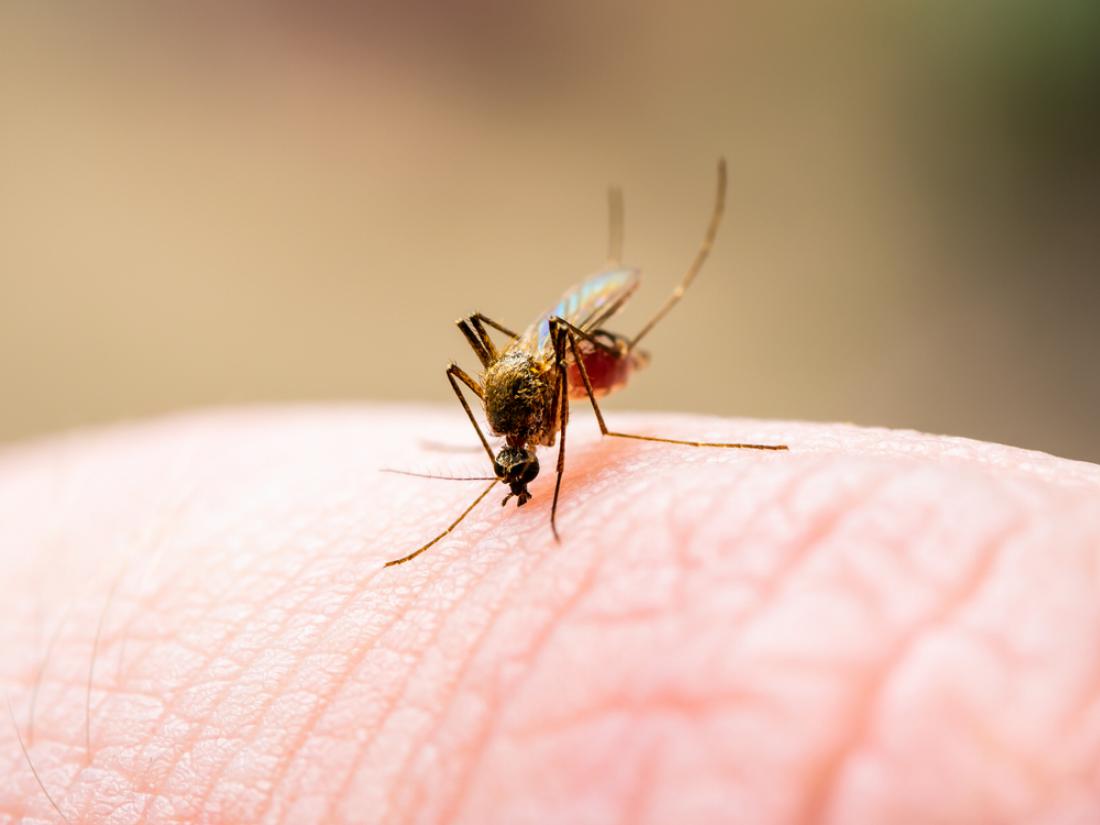 Izdelki na testu: Komarje odganja le kemija