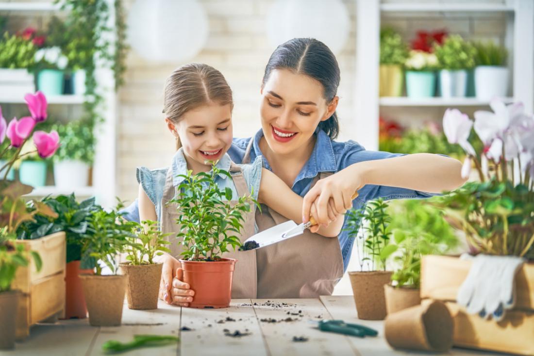 Kuhinjski vrt: Kako iz ostankov zelenjave vzgojimo novo